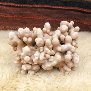 Botryoidal Moroccan Aragonite / Cave Calcite